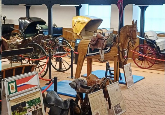 Baner koń ćwiczebny na ekspozycji w dawnej Ujeżdżalni